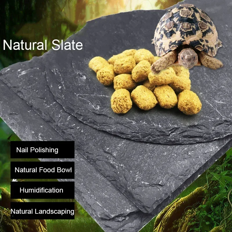 Pet Supplies Fish - Batu tulis alami akuarium peliharaan reptil