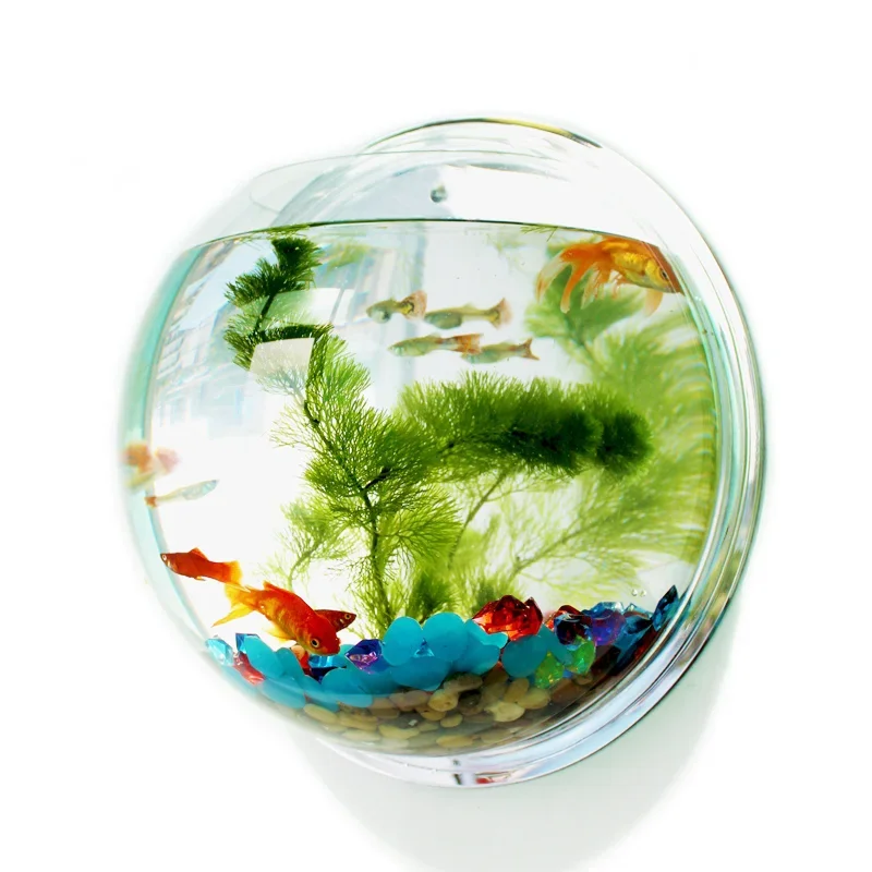 Pet Supplies Fish - Pinsjar Akrilik Mangkuk Ikan Hiasan Dinding