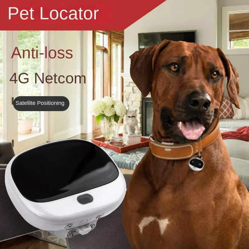 Pet Supplies Locations - Pelacak Lokasi Anjing Mini 4G LTE