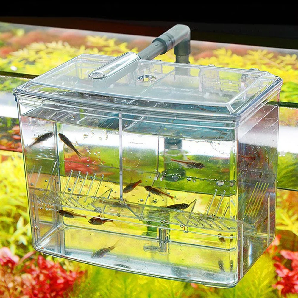 Kotak Penetasan Ikan Akuarium  - Pet Supplies Fish ulasan dan harga
