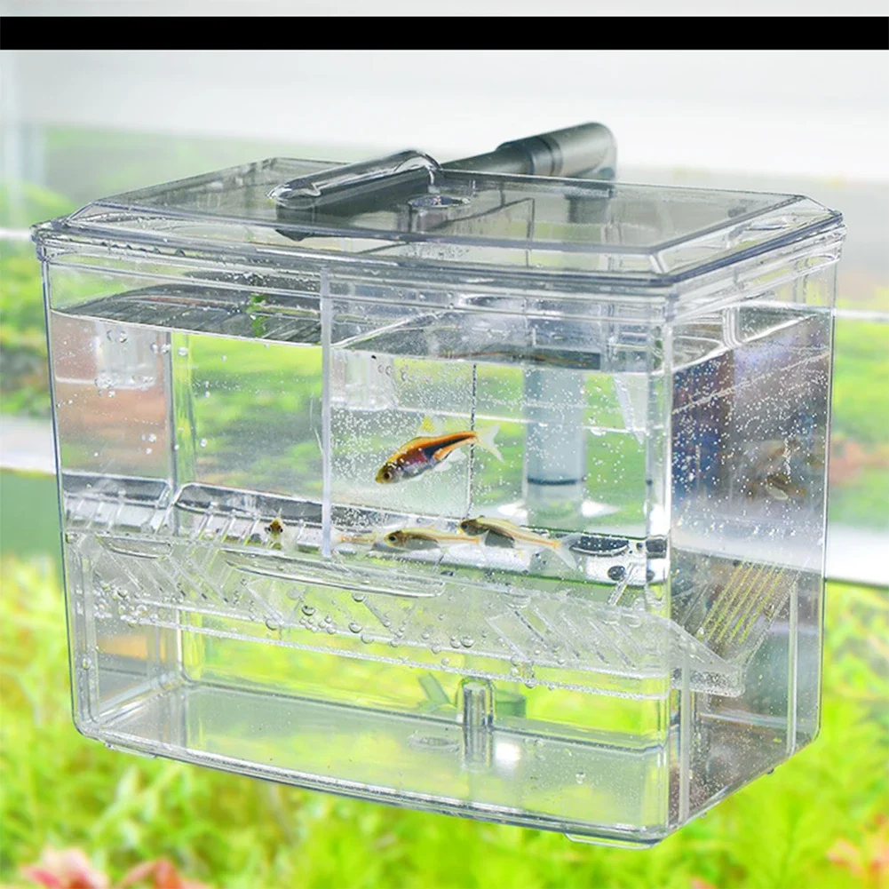 Kotak Penetasan Ikan Akuarium  - Pet Supplies Fish ulasan dan harga