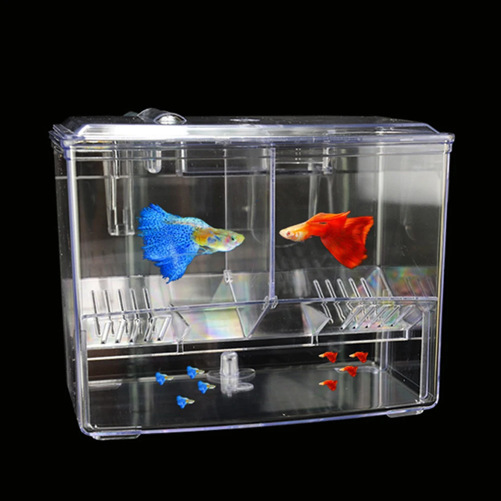 Kotak Penetasan Ikan Akuarium  - Pet Supplies Fish ulasan dan harga