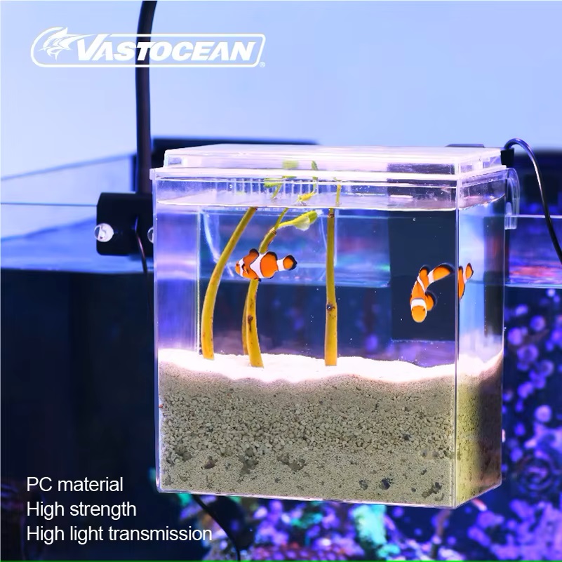 VASTOCEAN Tangki Ikan Kotak Ma - Pet Supplies Fish ulasan dan harga