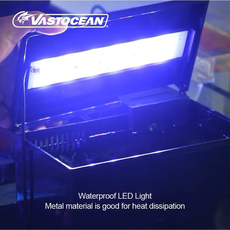 VASTOCEAN Tangki Ikan Kotak Ma - Pet Supplies Fish ulasan dan harga