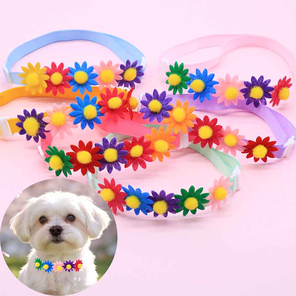 50 Buah Aksesori Bunga Dasi Ku - Pet Supplies Wholesale ulasan dan harga