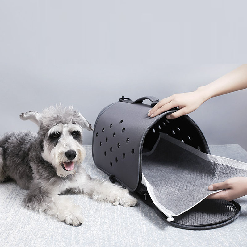 Grosir Bantalan Kencing Pelati - Pet Supplies Wholesale ulasan dan harga