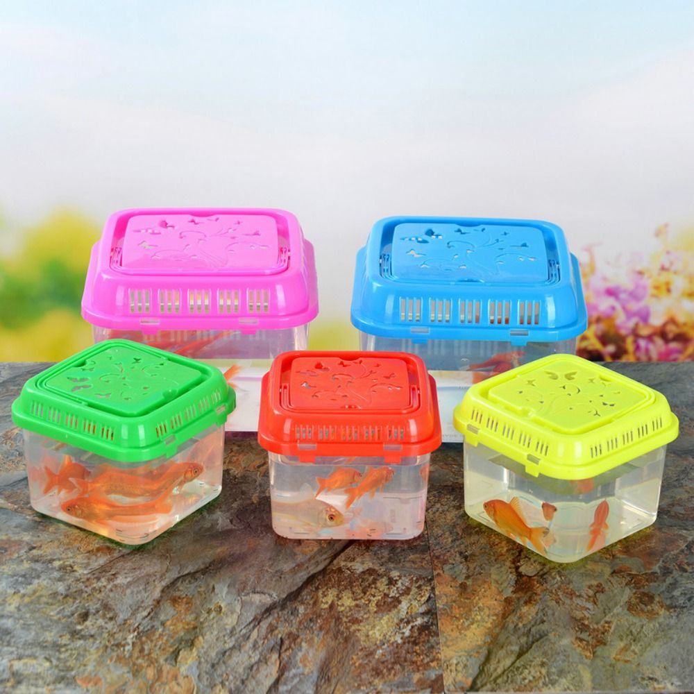 Kandang pembawa Hamster pember - Pet Supplies Fish ulasan dan harga