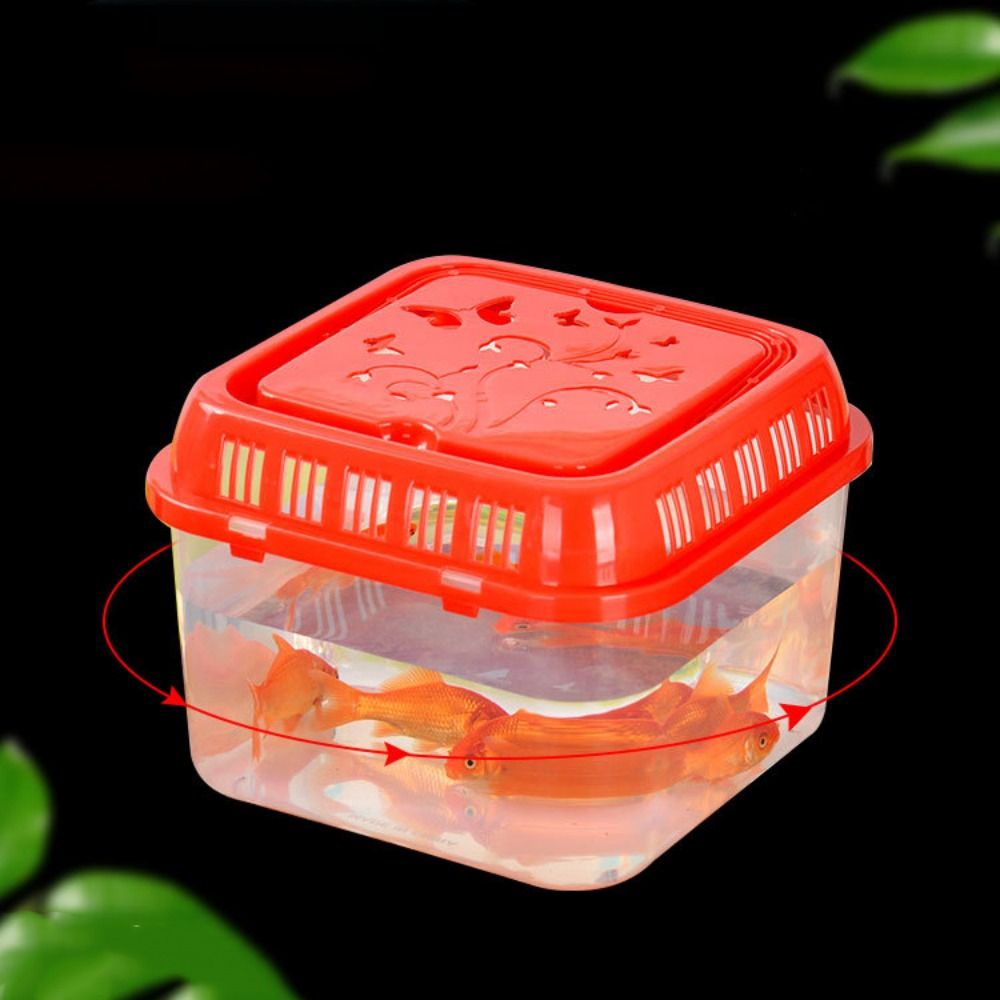 Kandang pembawa Hamster pember - Pet Supplies Fish ulasan dan harga