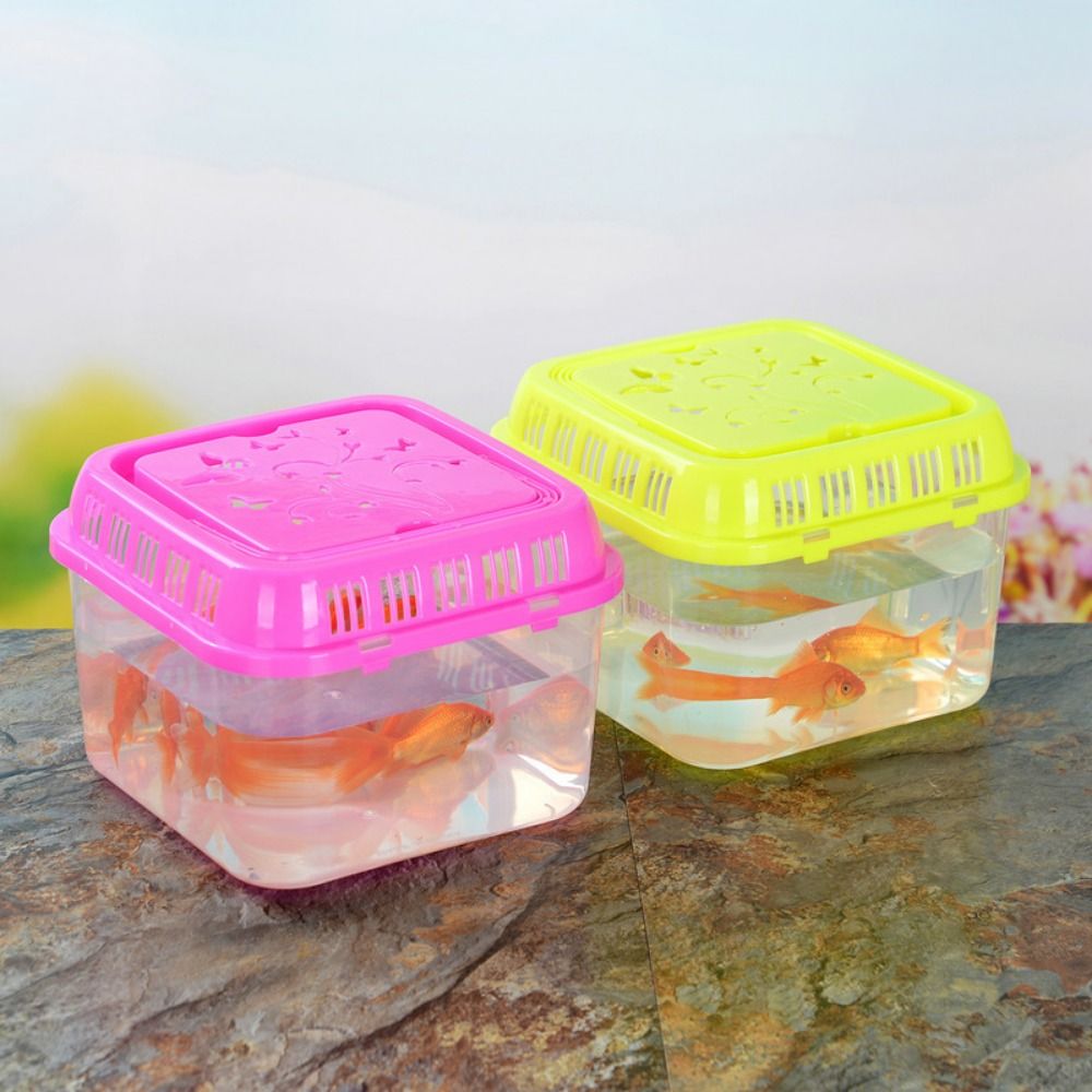 Kandang pembawa Hamster pember - Pet Supplies Fish ulasan dan harga