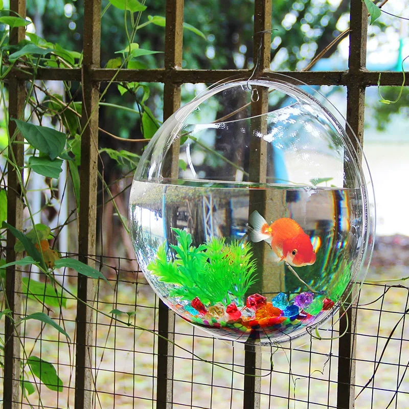 Pinsjar Akrilik Mangkuk Ikan H - Pet Supplies Fish ulasan dan harga