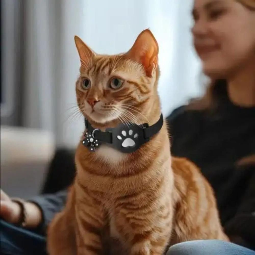 Kalung Reflektif Hewan Pelihar - Pet Supplies Locations ulasan dan harga