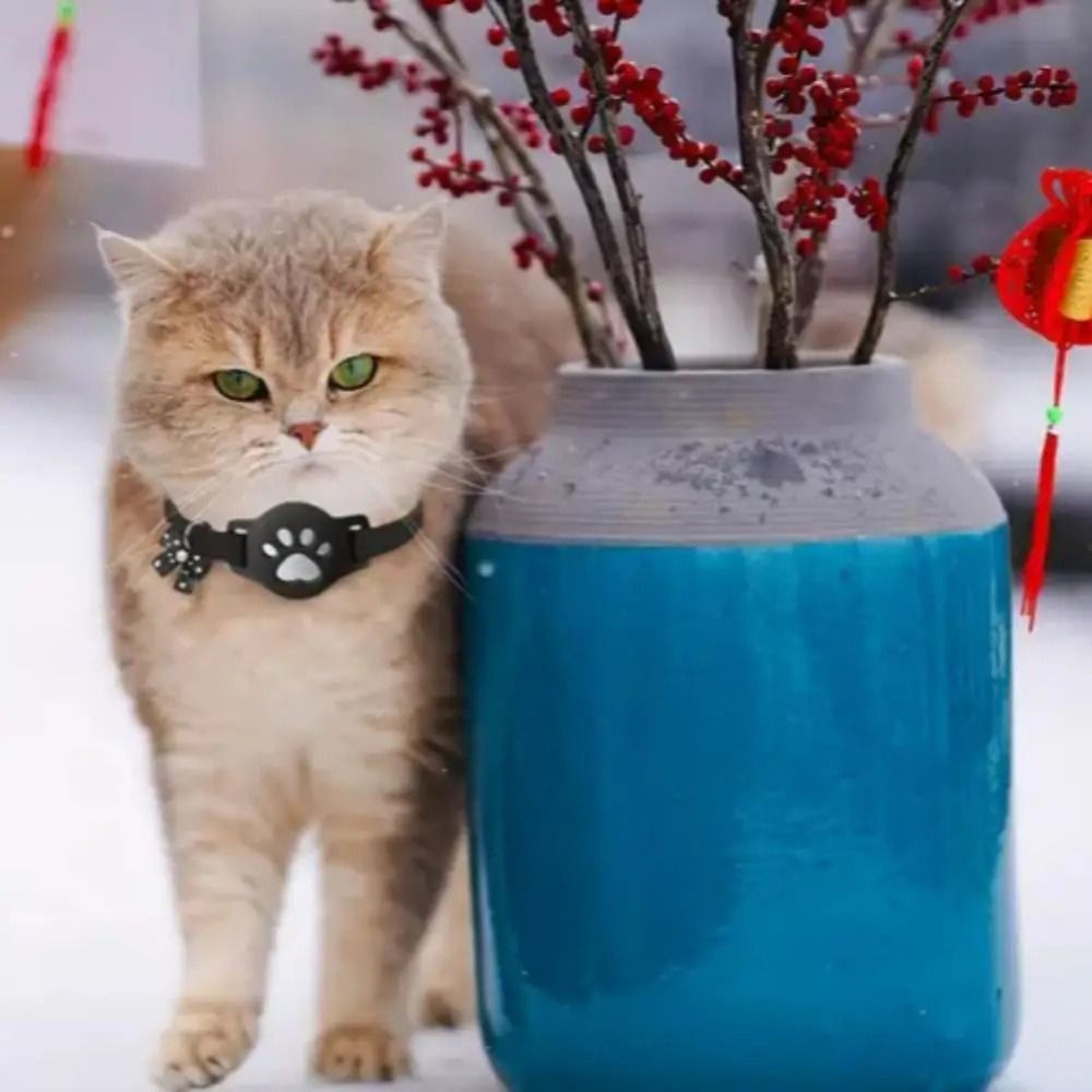 Kalung Reflektif Hewan Pelihar - Pet Supplies Locations ulasan dan harga