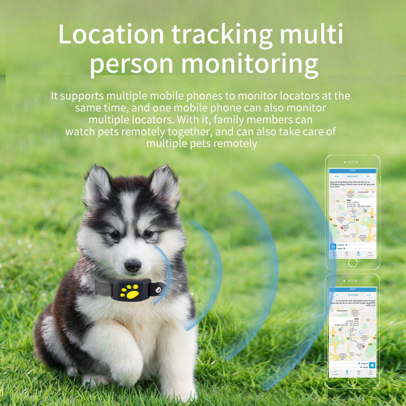 Pelacak Hewan Peliharaan GPS P - Pet Supplies Locations ulasan dan harga