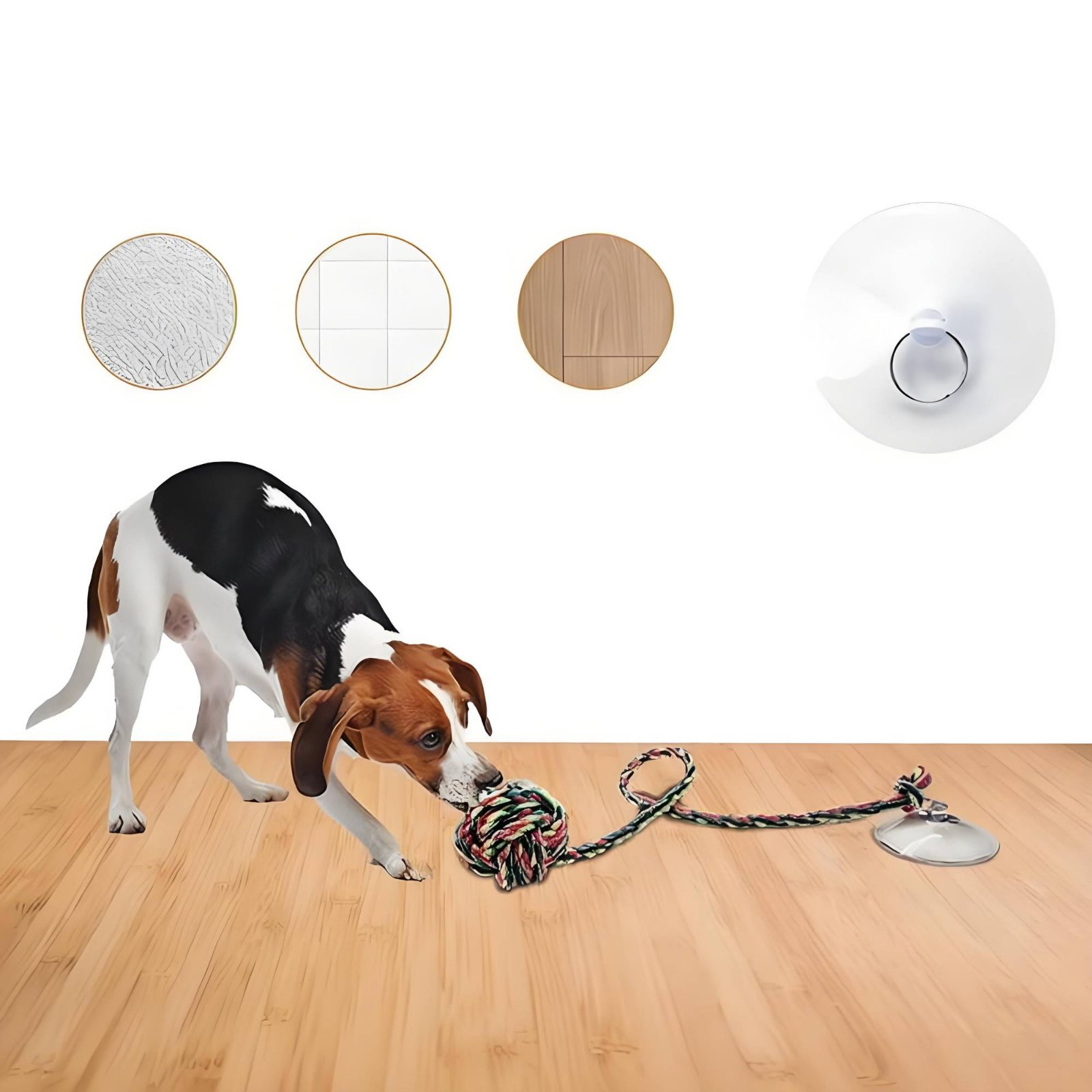 Mainan Anjing Suction Disc Tah - Pet Supplies Young ulasan dan harga